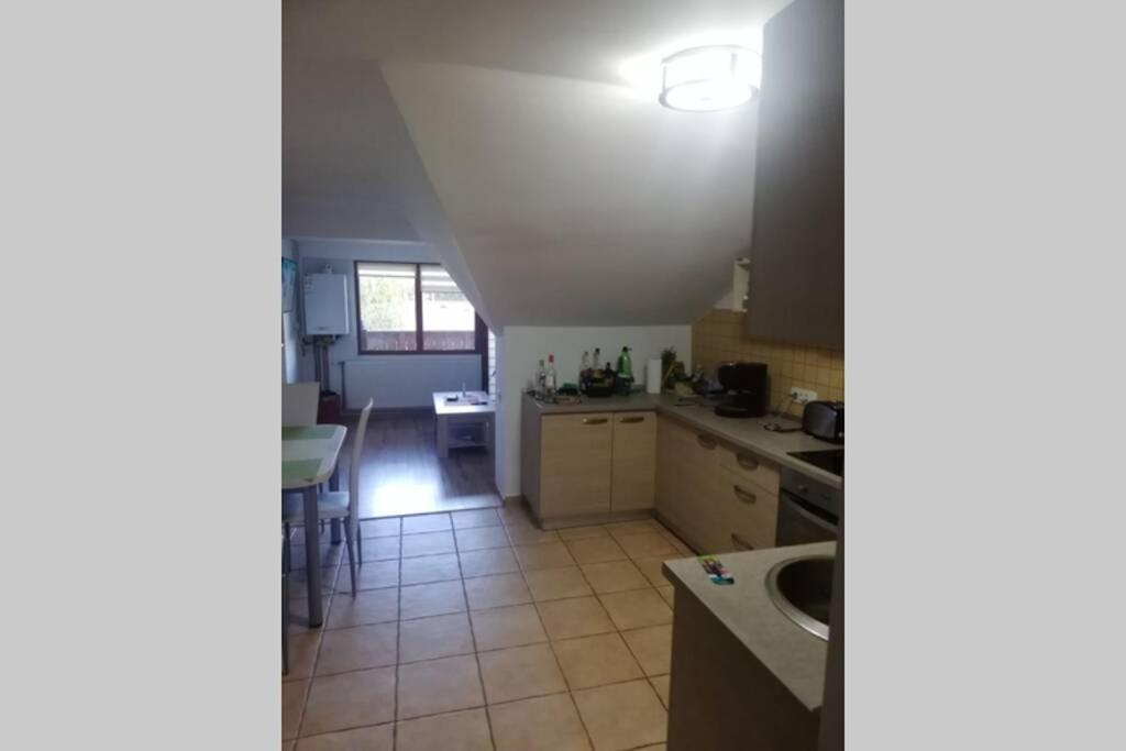 Large Vacation Apartment In بويانا براسوف المظهر الخارجي الصورة
