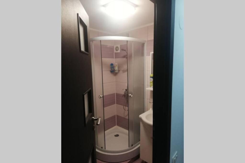 Large Vacation Apartment In بويانا براسوف المظهر الخارجي الصورة