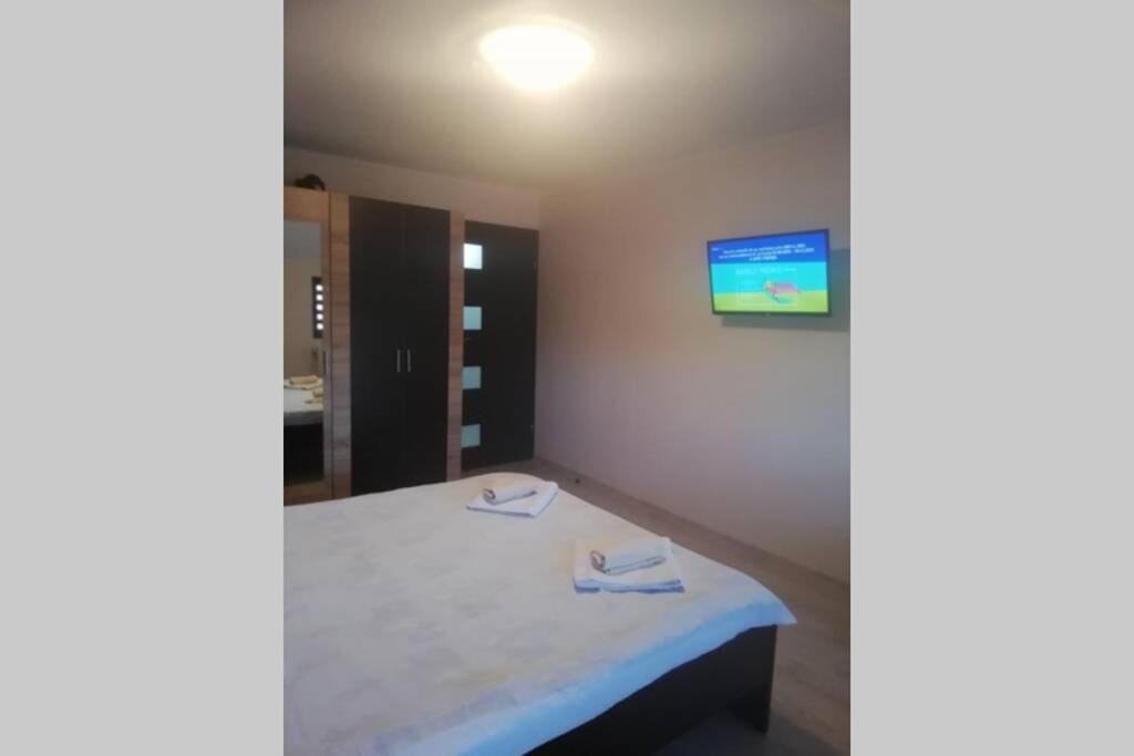 Large Vacation Apartment In بويانا براسوف المظهر الخارجي الصورة