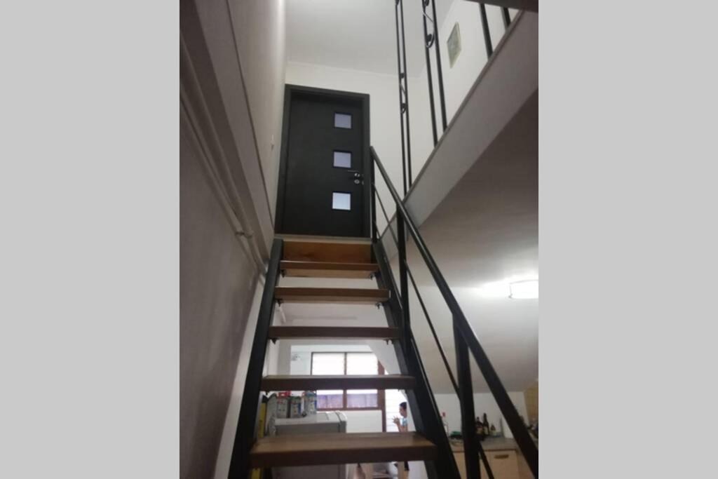 Large Vacation Apartment In بويانا براسوف المظهر الخارجي الصورة