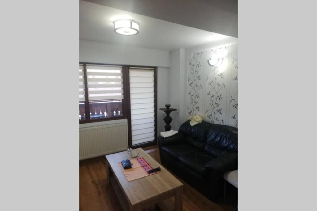 Large Vacation Apartment In بويانا براسوف المظهر الخارجي الصورة